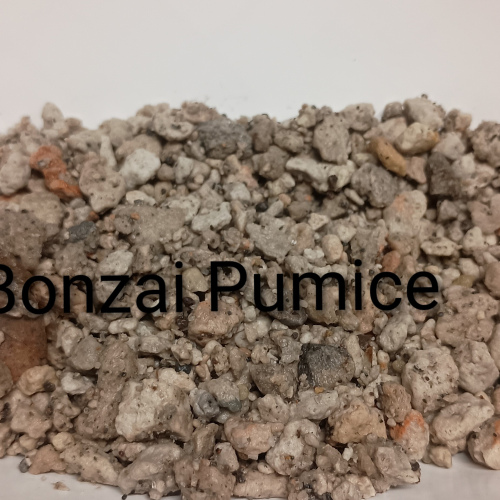 SPECIALTY BONZAI PUMICE