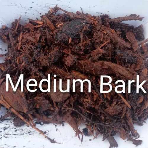 Medium Bark